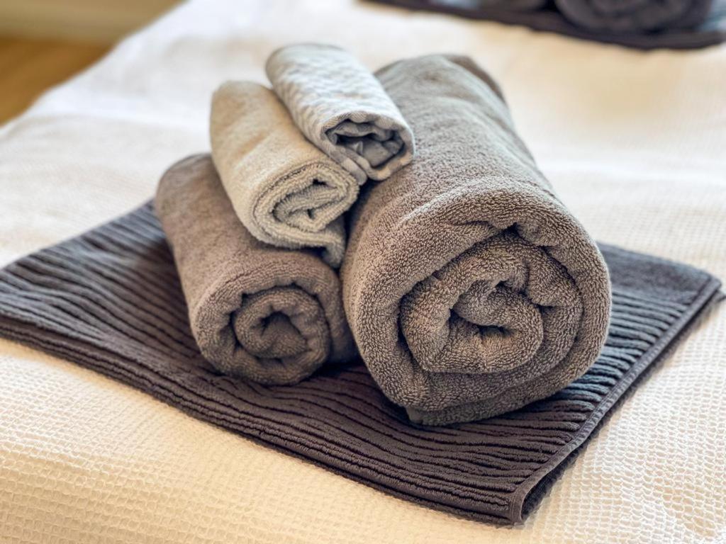 Hegau Boardinghouse Apartment Singen Ngoại thất bức ảnh