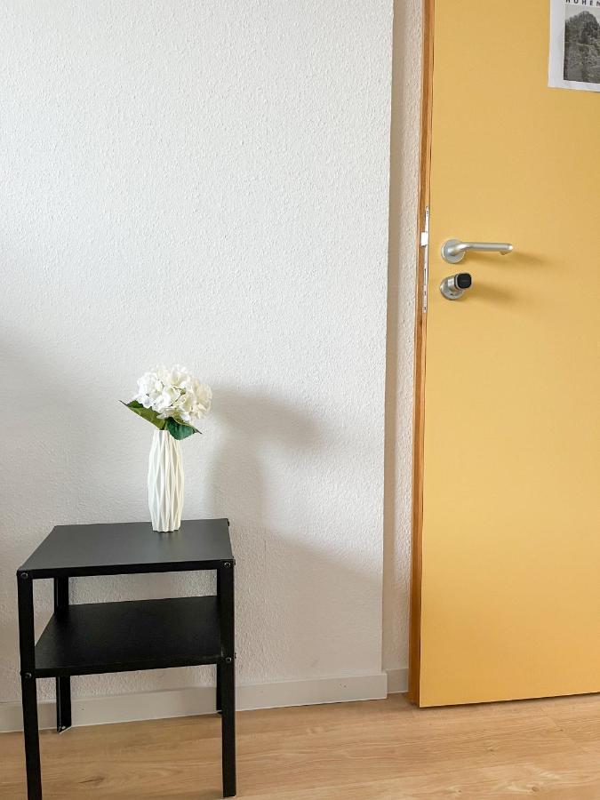 Hegau Boardinghouse Apartment Singen Ngoại thất bức ảnh